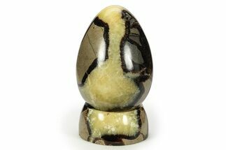 Polished Septarian Egg with Stand - Madagascar #245322