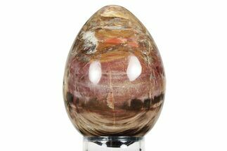 Colorful, Polished Petrified Wood Egg - Madagascar #245377