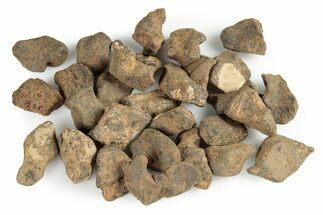 Agoudal Iron Meteorites (- grams) - High Atlas Mountains, Morocco #245872