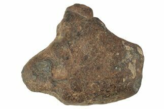 Agoudal Iron Meteorite ( g) - Morocco #245594