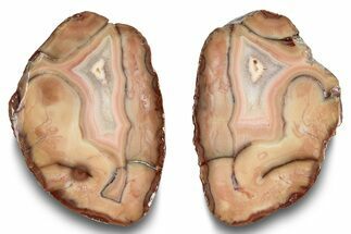 Polished, Banded Bahia Agate Nodule Pair - Brazil #246255