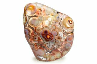 Polished Crazy Lace Agate - Mexico #246314