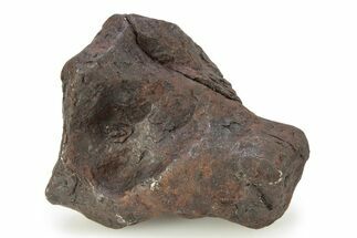 Canyon Diablo Iron Meteorite ( g) - Arizona #246908