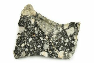 Polished Lunar Meteorite Slice ( g) - NWA #247001