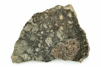 Polished Achondrite Meteorite ( grams) Slice - Africa #247016