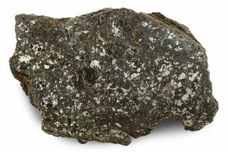 Polished Vaca Muerta Mesosiderite Meteorite ( grams) - Chile #246989
