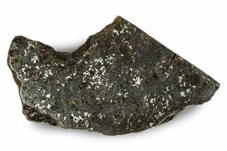 Polished Vaca Muerta Mesosiderite Meteorite (g) - Chile #246991