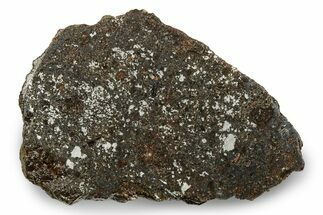 Polished Vaca Muerta Mesosiderite Meteorite ( g) - Chile #246997