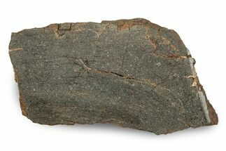 Villanueva Chondrite Meteorite ( g) Slice - New Mexico #247015