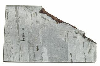 Etched Seymchan Pallasite Slice ( grams) - Russia #247036