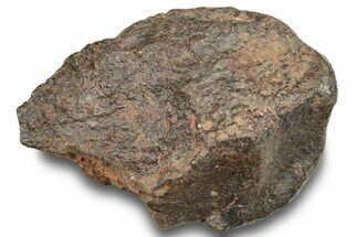 Chondrite Meteorite ( grams) - Western Sahara Desert #247500