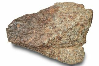 Chondrite Meteorite ( g) - Unclassified NWA #247503
