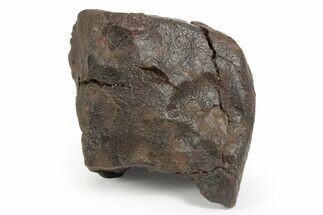 Chondrite Meteorite ( grams) - Western Sahara Desert #247545