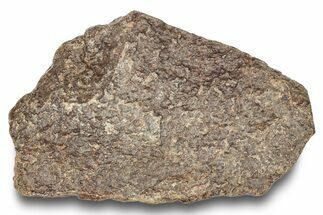 Chondrite Meteorite ( g) - Western Sahara Desert #247563