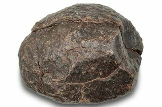 Chondrite Meteorite ( grams) - Western Sahara Desert #247559