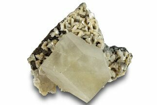 Calcite Crystal on Dolomite - New York #247247