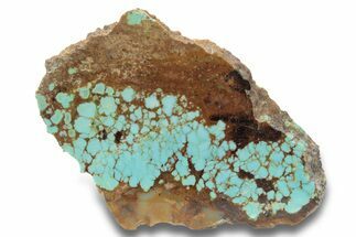 Polished Turquoise Slab - Number Mine, Carlin, NV #248342