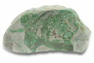 Polished Pastel Green Variscite Section - Amatrice Hill, Utah #248353