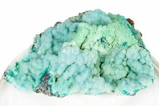 Vibrant Green Conichalcite with Chrysocolla - Namibia #247967