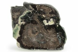 Jasper Replaced Petrified Wood - Hampton Butte, Oregon #248691