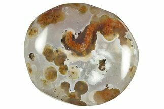 Polished Ocean Jasper Stone - New Deposit #248153