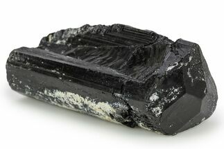 Terminated Black Tourmaline (Schorl) Crystal - Madagascar #248808