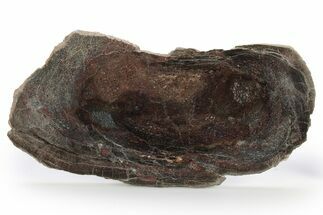 Polished Dinosaur Bone (Gembone) Slab - Utah #249279