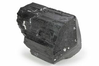Terminated Black Tourmaline (Schorl) Crystal - Madagascar #248805