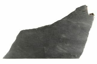 Guadalupe y Calvo Iron Meteorite Slice ( g) - Mexico #249922