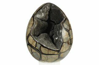 Septarian Dragon Egg Geode - Removable Section #250970