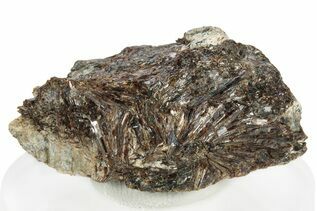 Buy Lamprophyllite