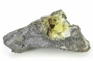 Glassy Yellow Anglesite Crystals on Galena - Morocco #251509