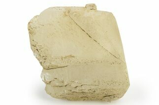 Fluorescent Calcite Crystal - Sept-Îles, Quebec #251236