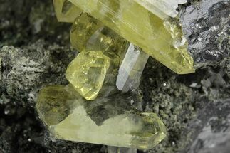 Glassy Yellow Anglesite Crystals on Galena - Morocco #251479