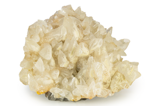 Dogtooth Calcite Crystal Cluster - Pakistan #251723