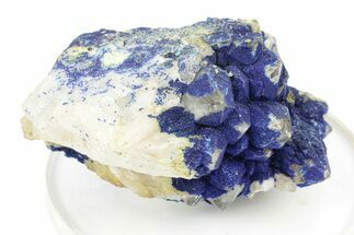 Vibrant Azurite on Quartz Crystals - China #252081