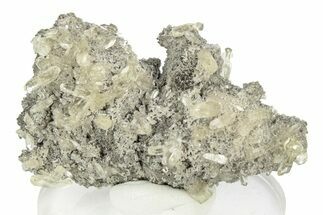 Yellow Calcite Crystals on Dolomite - Missouri #252127