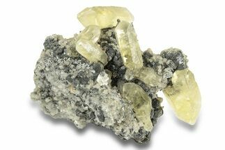 Yellow Calcite and Galena on Dolomite - Missouri #252145