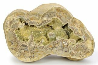 Yellow Crystal Filled Septarian Geode - Utah #251072