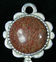 Beautiful Colorado Agatized Dinosaur Bone Pendant #14891