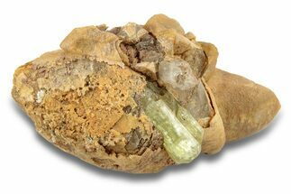 Lustrous, Yellow Apatite Crystal on Calcite - Morocco #251155