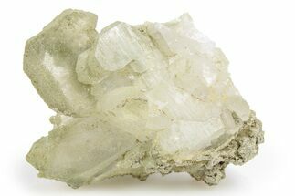 Chlorite Included Quartz Crystal Cluster - Pakistan #253178