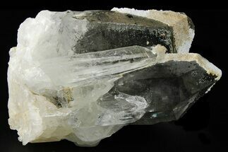 Colombian Quartz Crystal Cluster - Colombia #253232