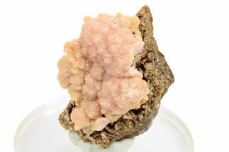 Sparkling Botryoidal Rhodochrosite - Santa Eulalia, Mexico #253352