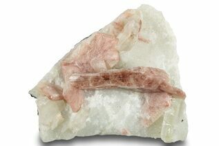 Buy Apophyllite
