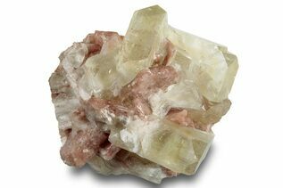 Buy Apophyllite