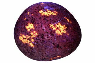 Highly Fluorescent Yooperlite Pebble - Michigan #253897