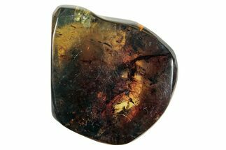 Polished Chiapas Amber ( g) - Mexico #253854