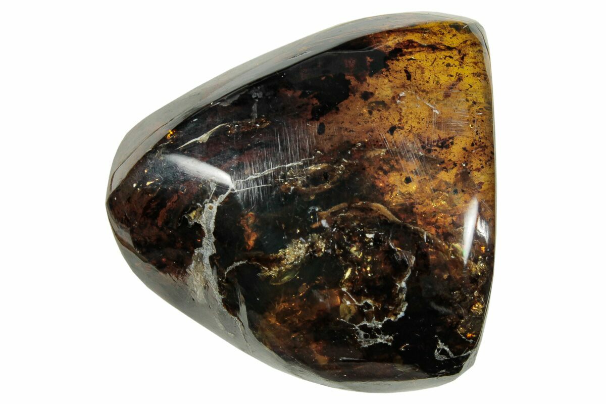 Blue Green Mexican Amber Resin Fossil Top Polished with Moss