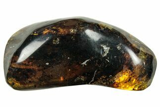 Polished Chiapas Amber ( g) - Mexico #253861